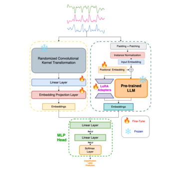 Dual-Branch Synergistic Learning with Randomized Convolutional Kernels and Parameter-Efficient LLM Fine-Tuning for Multivariate Time Series Classification paper