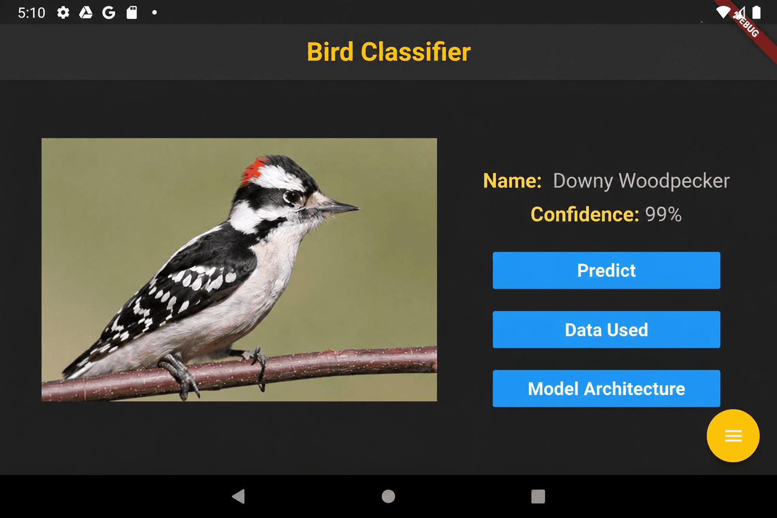 Bird Classifier project